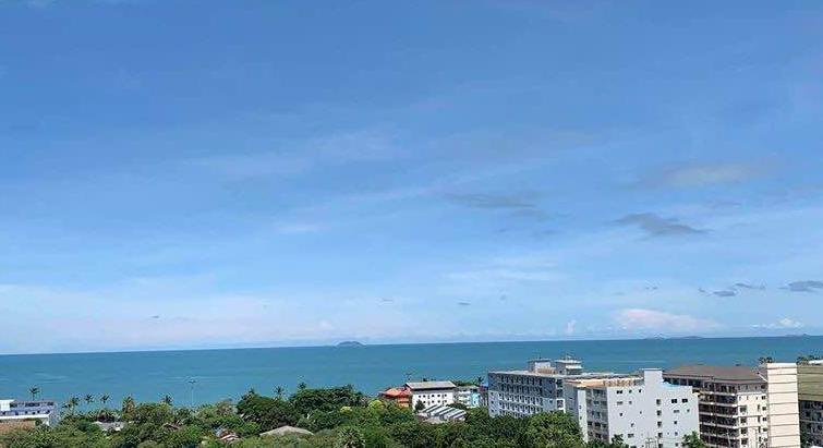 1 Bedroom 1 Bath - Apartment