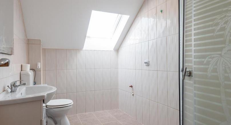 Surprising neoclassical villa, Stupini, Brasov