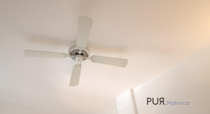 A view over the whole bay. With plenty of space for the big family