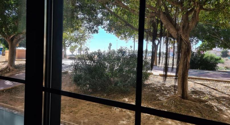 4 apartments for sale in Torrevieja.