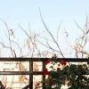 For sale apartment overlooking the sea and pool