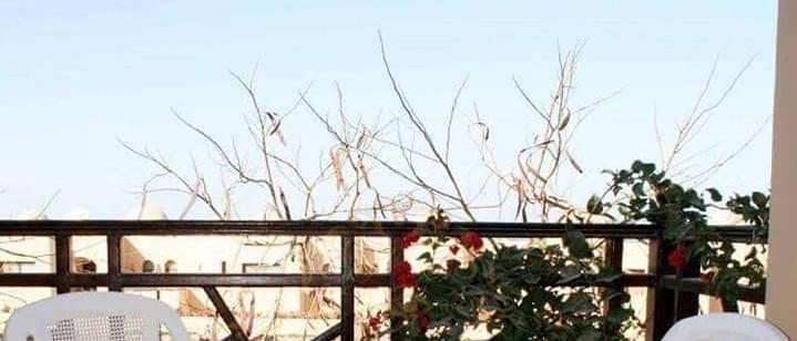 For sale apartment overlooking the sea and pool