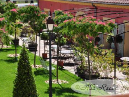  A business model all around wine and hospitality with further possibilities