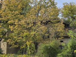 house for sale in village