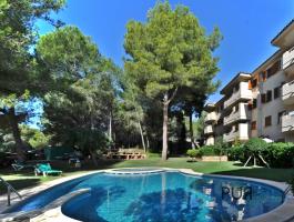 Paguera. Big apartment. Fully furnished.