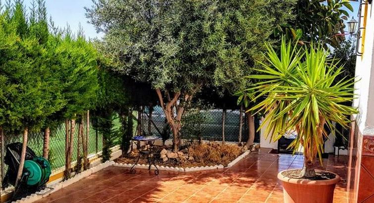 5811 CORNER TOWNHOUSE IN LOS ALTOS, TORREVIEJA