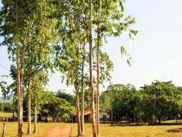 Unmissable, sale of chácara in Pirenópolis abundant in water
