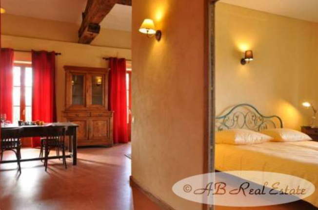  A business model all around wine and hospitality with further possibilities