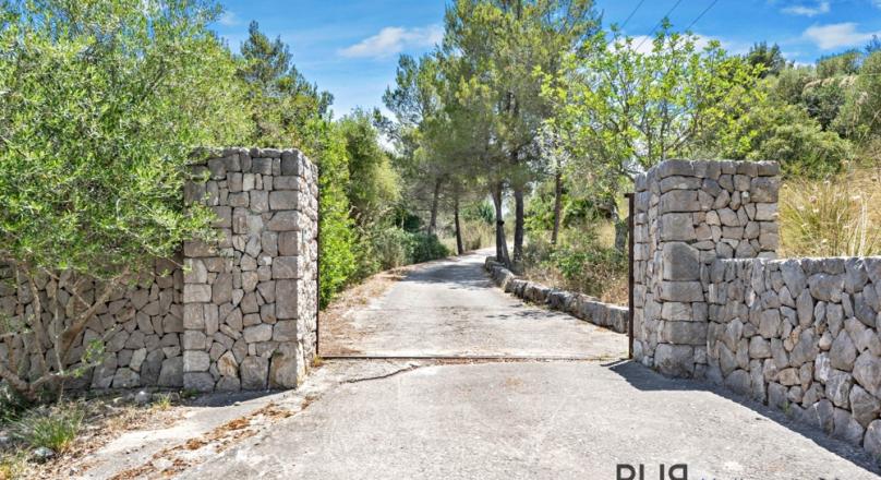 Arta. A finca. Like from a picture book. A lot of space. And with a view of the sea.