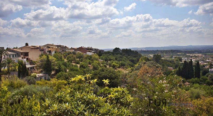 Village house. Rent on our island. Campanet. And with the price you look carefully. But exactly.