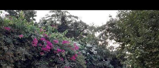 A very elegant twin house for sale in Mena Garden City