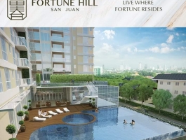 FORTUNE HILL SAN JUAN