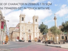 ZEBBUG - HOUSE OF CHARACTER