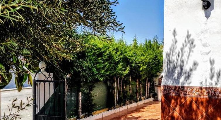 5811 CORNER TOWNHOUSE IN LOS ALTOS, TORREVIEJA