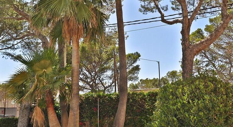 Not just for golf lovers. Santa Ponsa. Apartment. Quiet garden location.