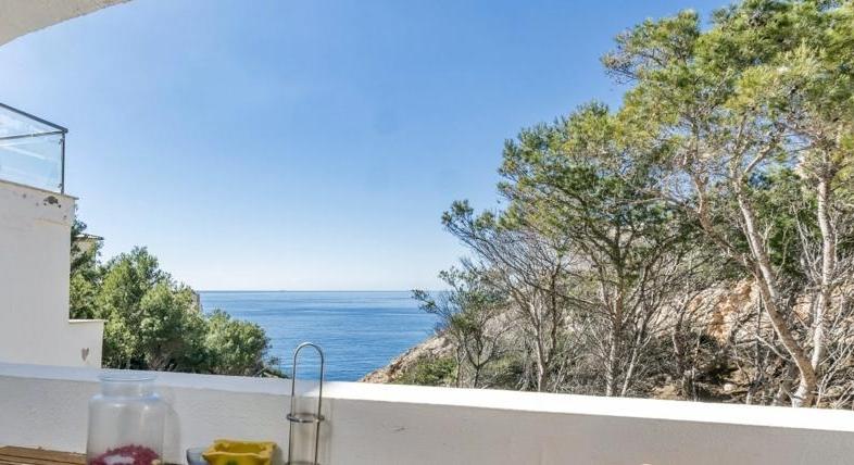 An apartment with a sea view. In Port Andratx. It has always been your...