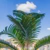 Sunny and panoramic positioning, in elegance and comfort, Semicentral