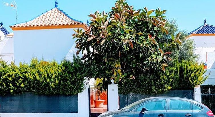 5811 CORNER TOWNHOUSE IN LOS ALTOS, TORREVIEJA