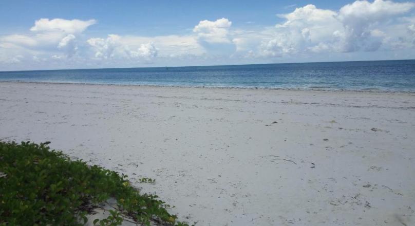 SAND BEACH PLOT FOR SALE