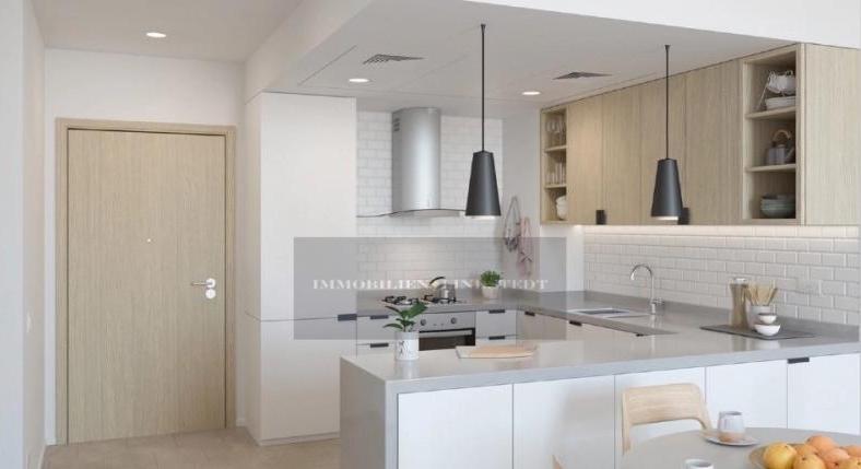 NEW PROJECT IN DUBAI