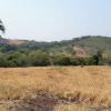 sale of four plots of land near Pirenópolis