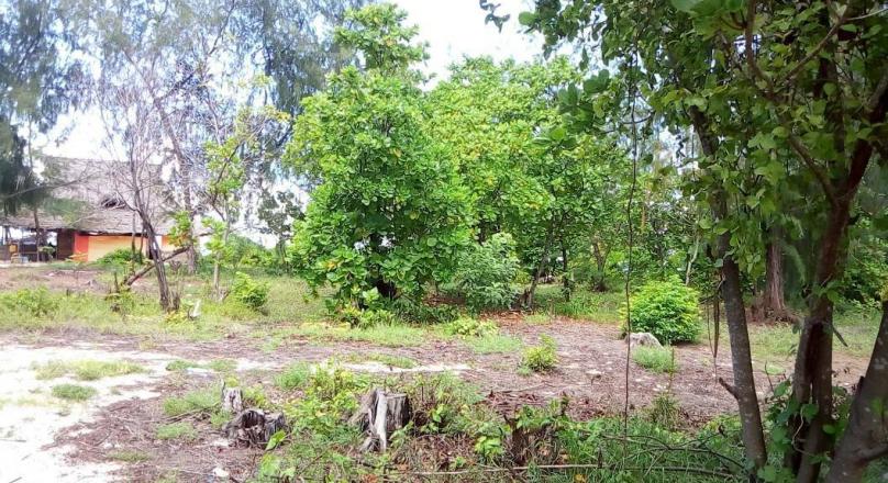 SAND BEACH PLOT FOR SALE
