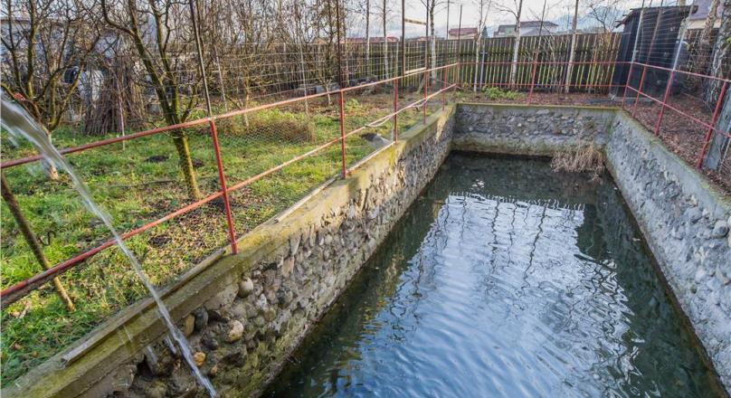 Great villa on land 1.500mp, decorative pool, Harman, Brasov