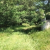 4 Hectares farmhouse with pool house