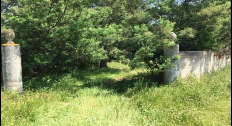 4 Hectares farmhouse with pool house