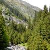 Dream on Transfagarasan