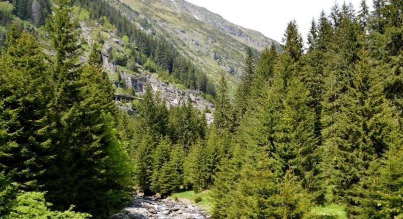 Dream on Transfagarasan