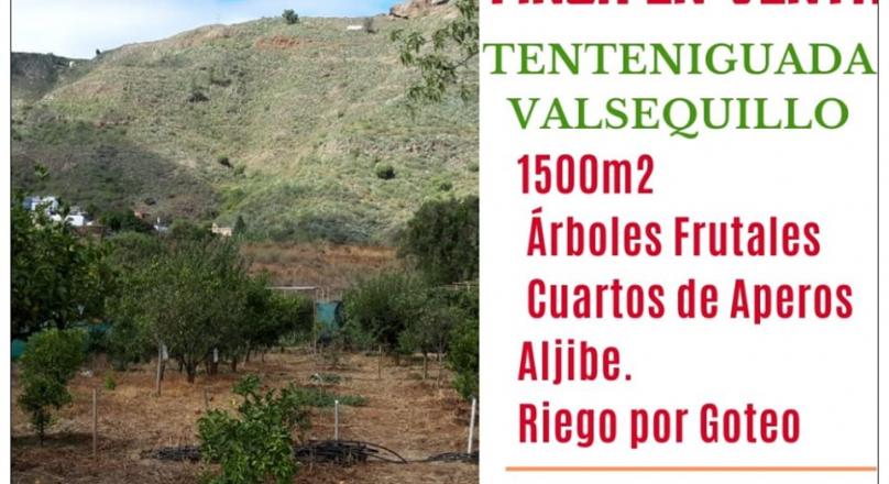 Estate in Tenteniguada, Valsequillo