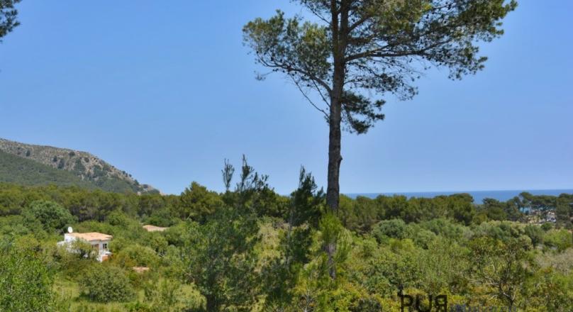 Small finca. Holiday rental license. Cala Ratjada. Boomtown.