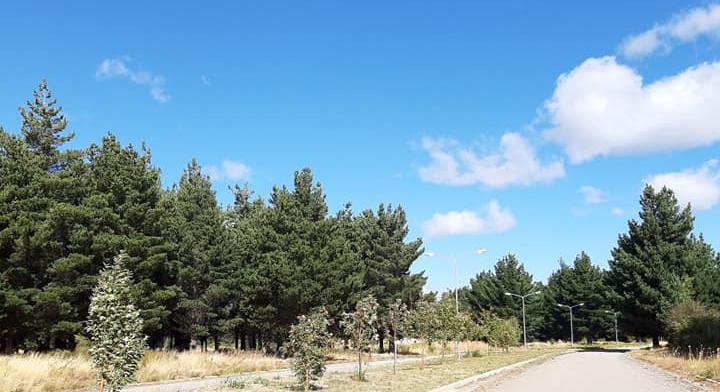 Spectacular lot in the East of Bariloche
