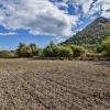 Alcudia - finca with lots of fruit trees, lots of views. She invites YOU. A price with a lot of perspective.