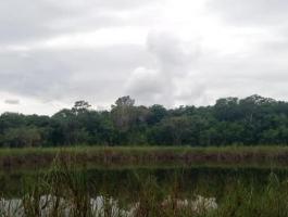 For sale land Riviera Maya.
