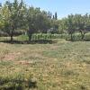 SALE HECTARES OF NEW SPAIN AREA