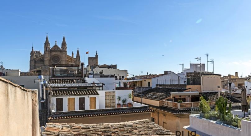 Palma - La Lonja. The old town in the old town. Unbeatable location.