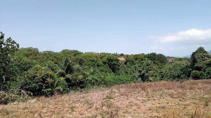 Lot for sale 15,964 area sqmtr