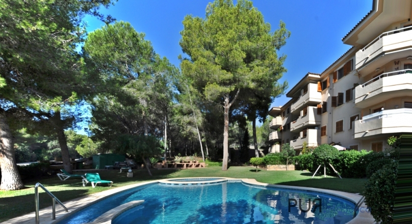 Paguera. A big apartment. Well maintained. Only 10 minutes from the boulevard and the beach.