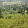 Our Wakiso Banda estate, 50*100 along Hoima Road with a private Mailo land 