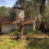4 Hectares farmhouse with pool house