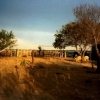 Small farm of 5000 has located close to the city of Viedma