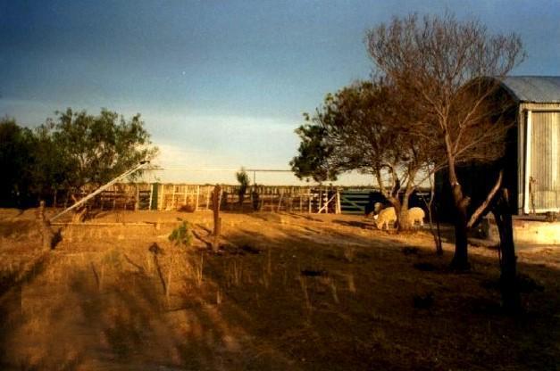 Small farm of 5000 has located close to the city of Viedma