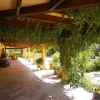 Room Inca / Binissalem - investment property / letting object, 11 bedrooms, 11 bathrooms