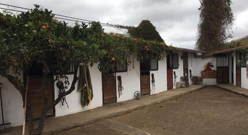 Finca for Sale for events in Telde