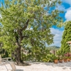 The whole southwest at your feet. In the village of Galilee. Enjoy. Quiet. Earthiness.