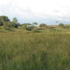 LIVESTOCK FARM FOR SALE OF 4,460 HECTARES