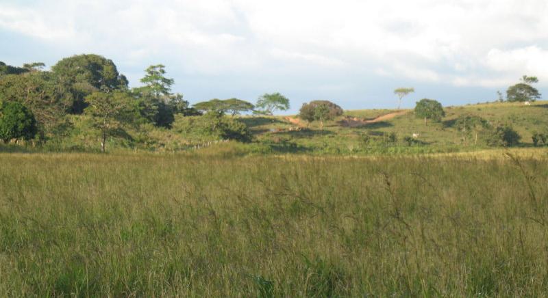 LIVESTOCK FARM FOR SALE OF 4,460 HECTARES