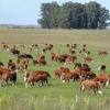 REAL ESTATE BUSINESS OPPORTUNITY IN URUGUAY